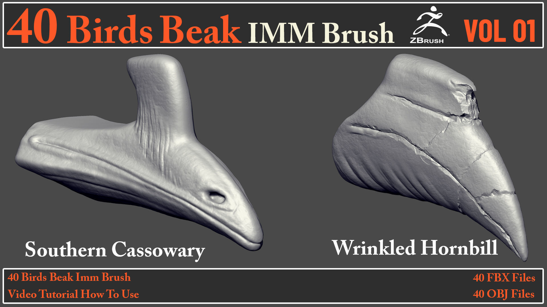 40 Birds Beak IMM Brush - Video How To Use 3D model_21