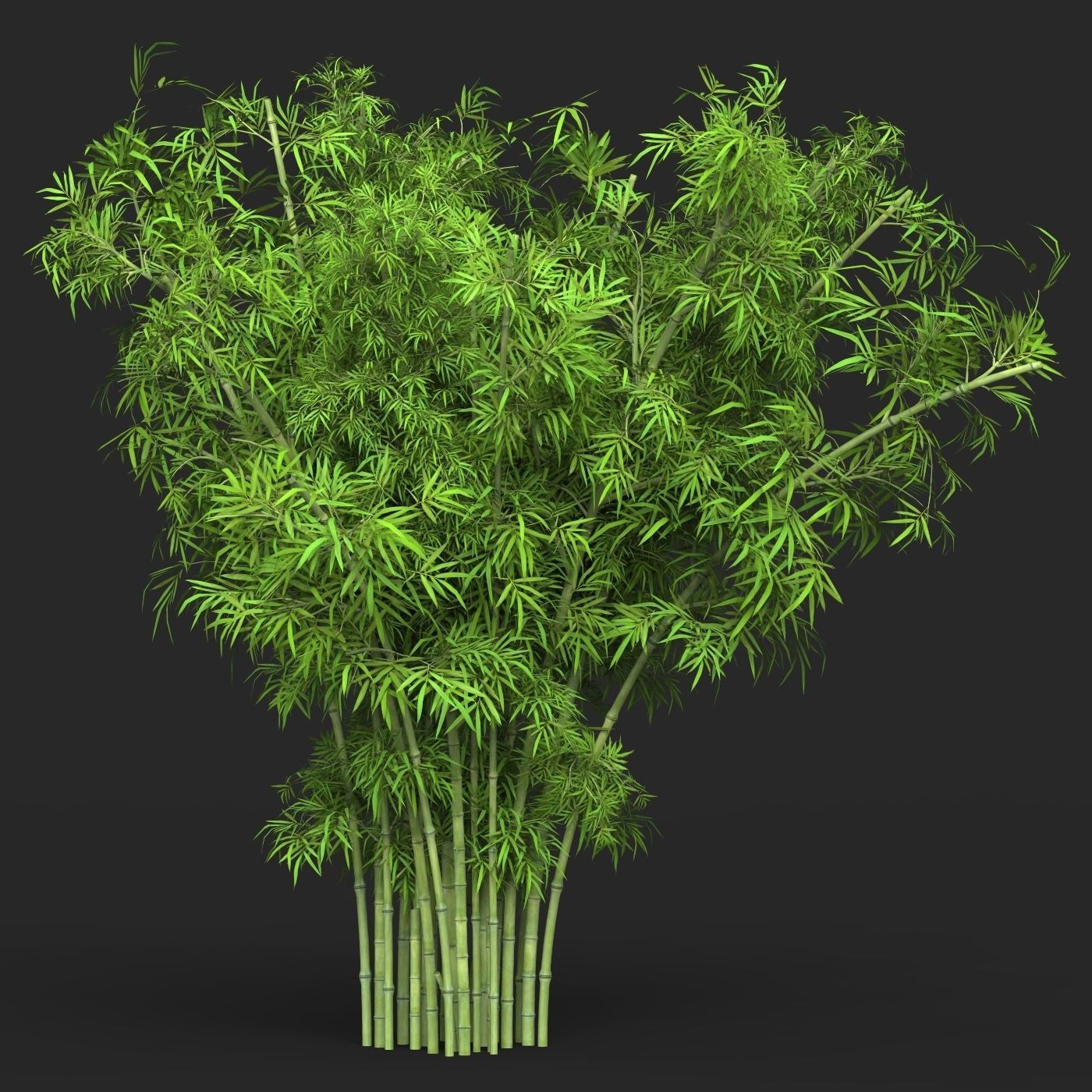 Realistic Game Ready Bamboo Tree 15 3D model_2