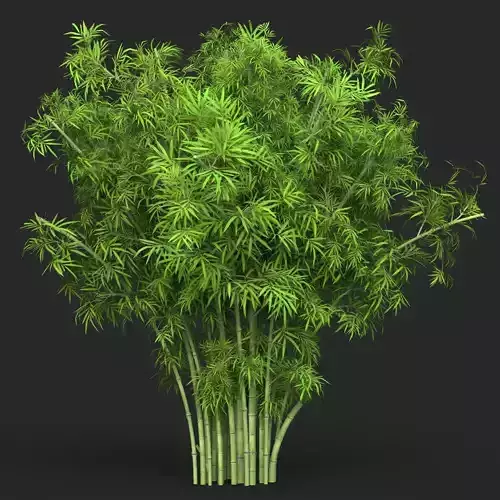 Realistic Game Ready Bamboo Tree 15