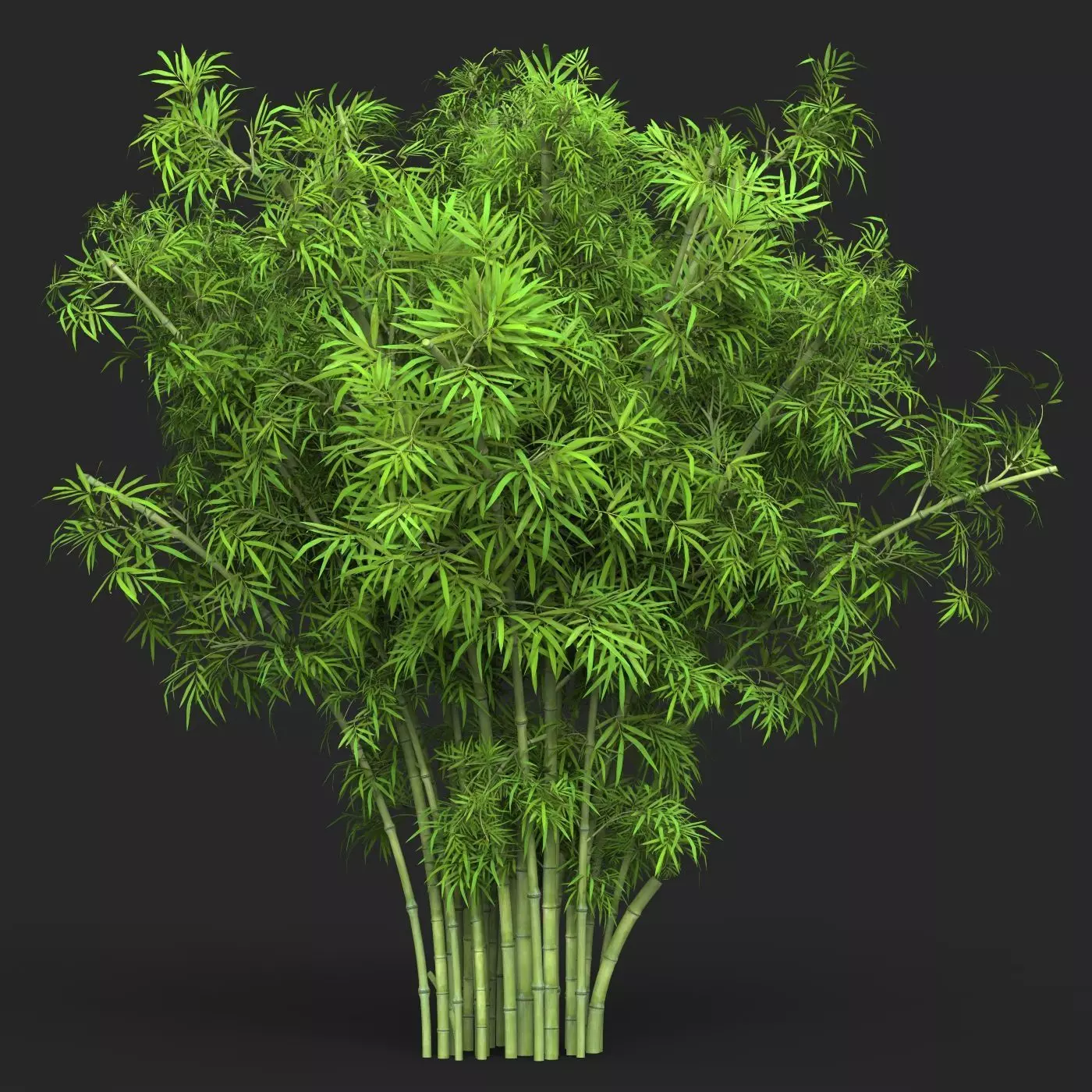 Realistic Game Ready Bamboo Tree 15 3D model_0