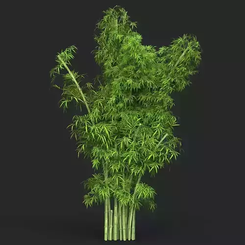 Realistic Game Ready Bamboo Tree 16 3D model