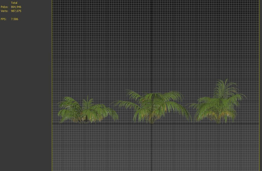 Parlor Palm 3D model_7
