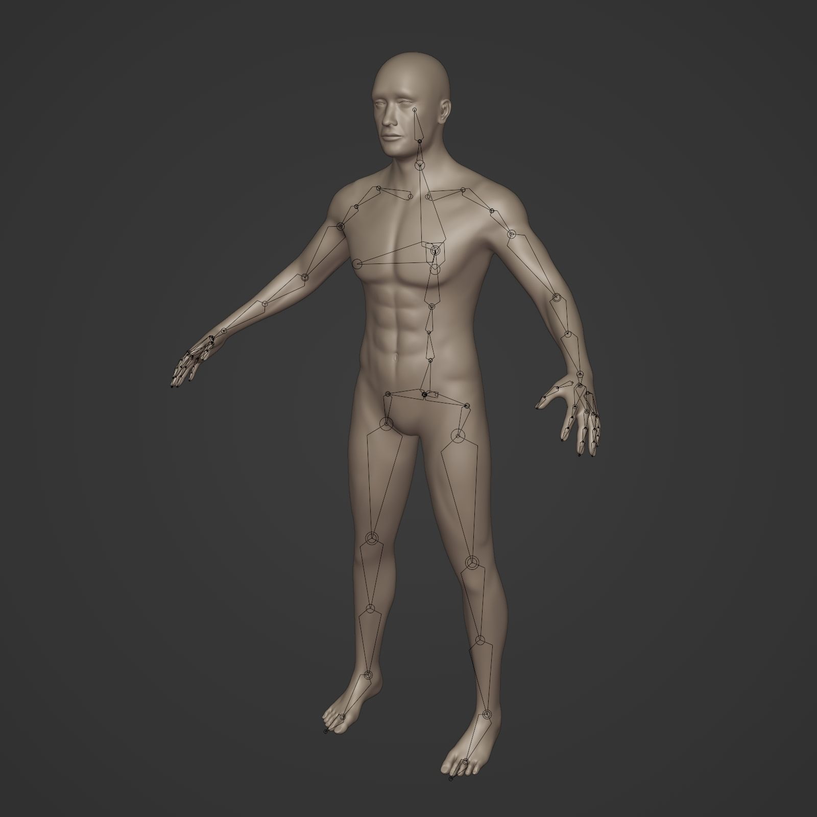 Man Base Mesh - Rigged  Low-poly 3D model_2