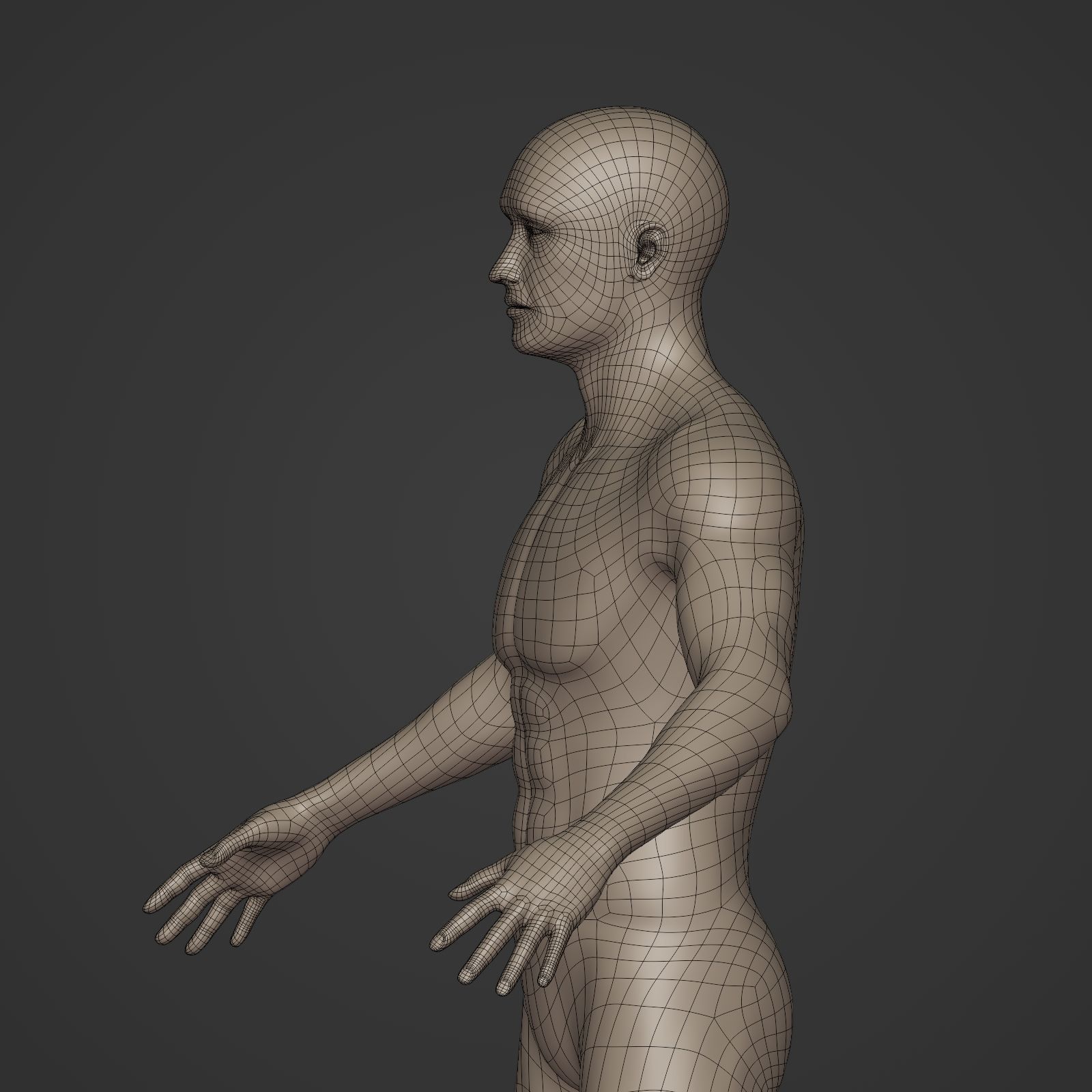 Man Base Mesh - Rigged  Low-poly 3D model_11