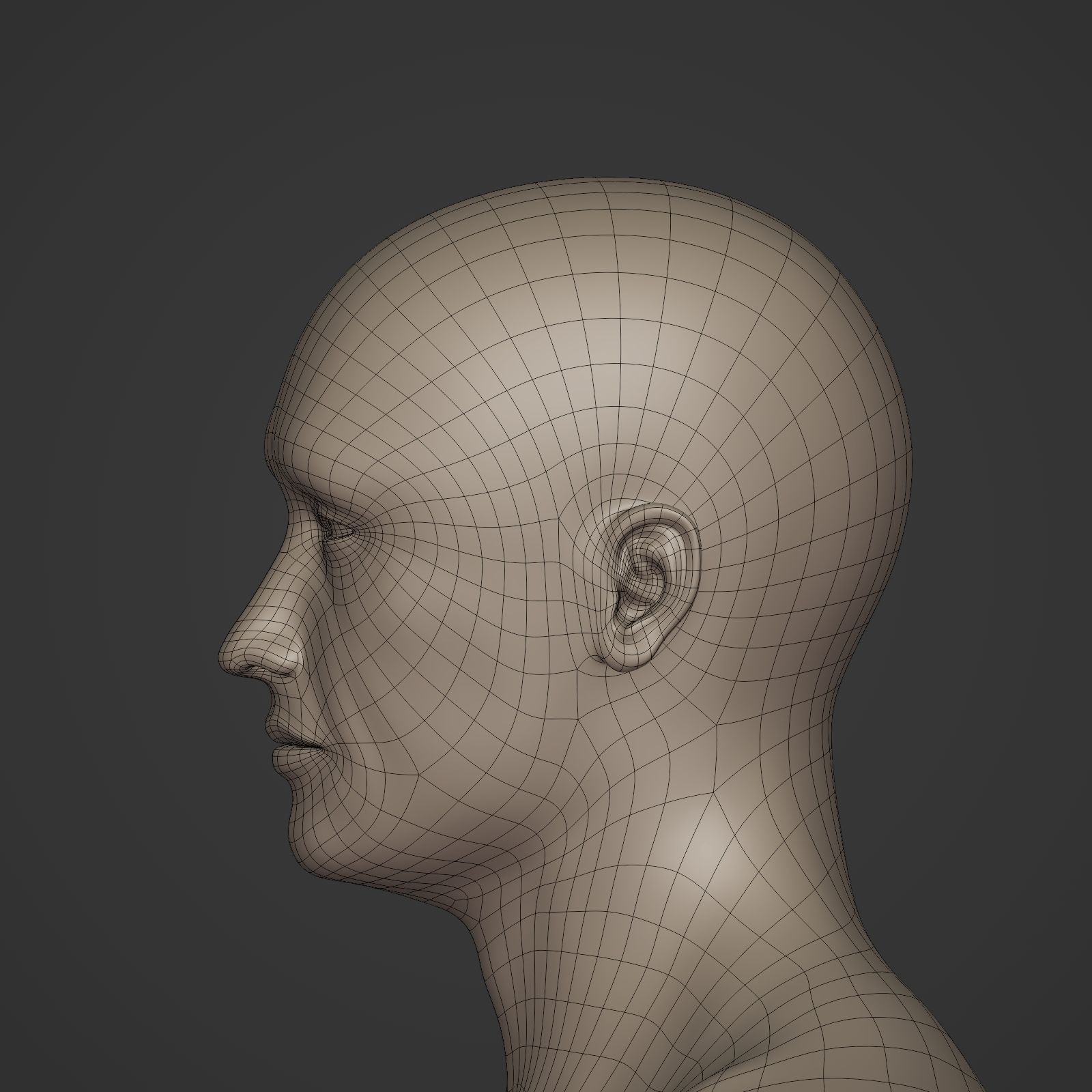 Man Base Mesh - Rigged  Low-poly 3D model_17