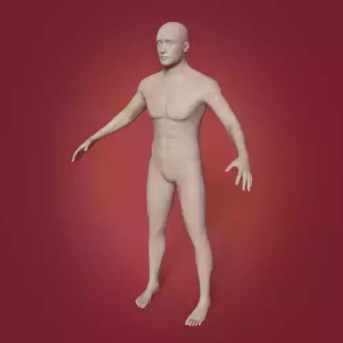 Man Base Mesh - Rigged 