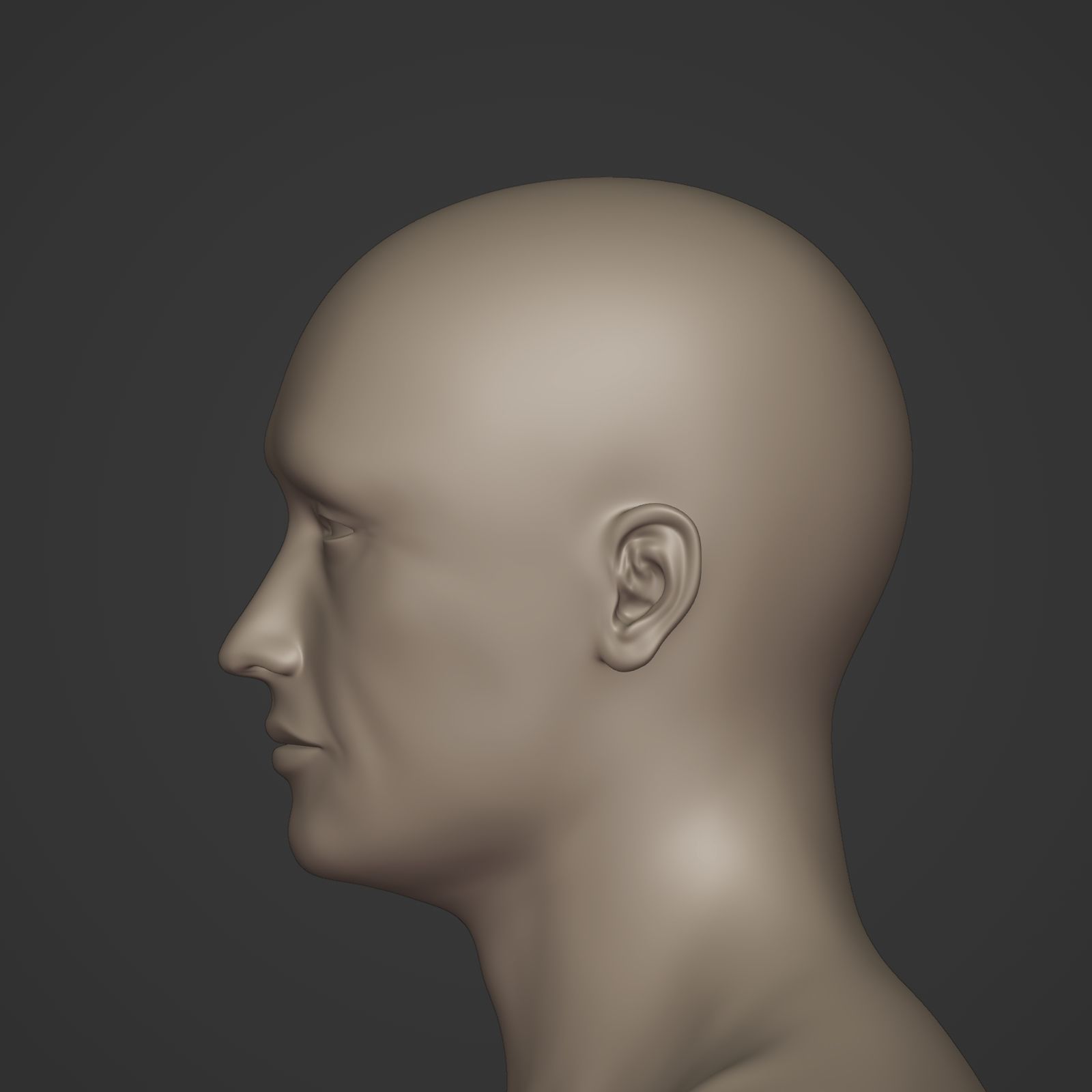 Man Base Mesh - Rigged  Low-poly 3D model_16