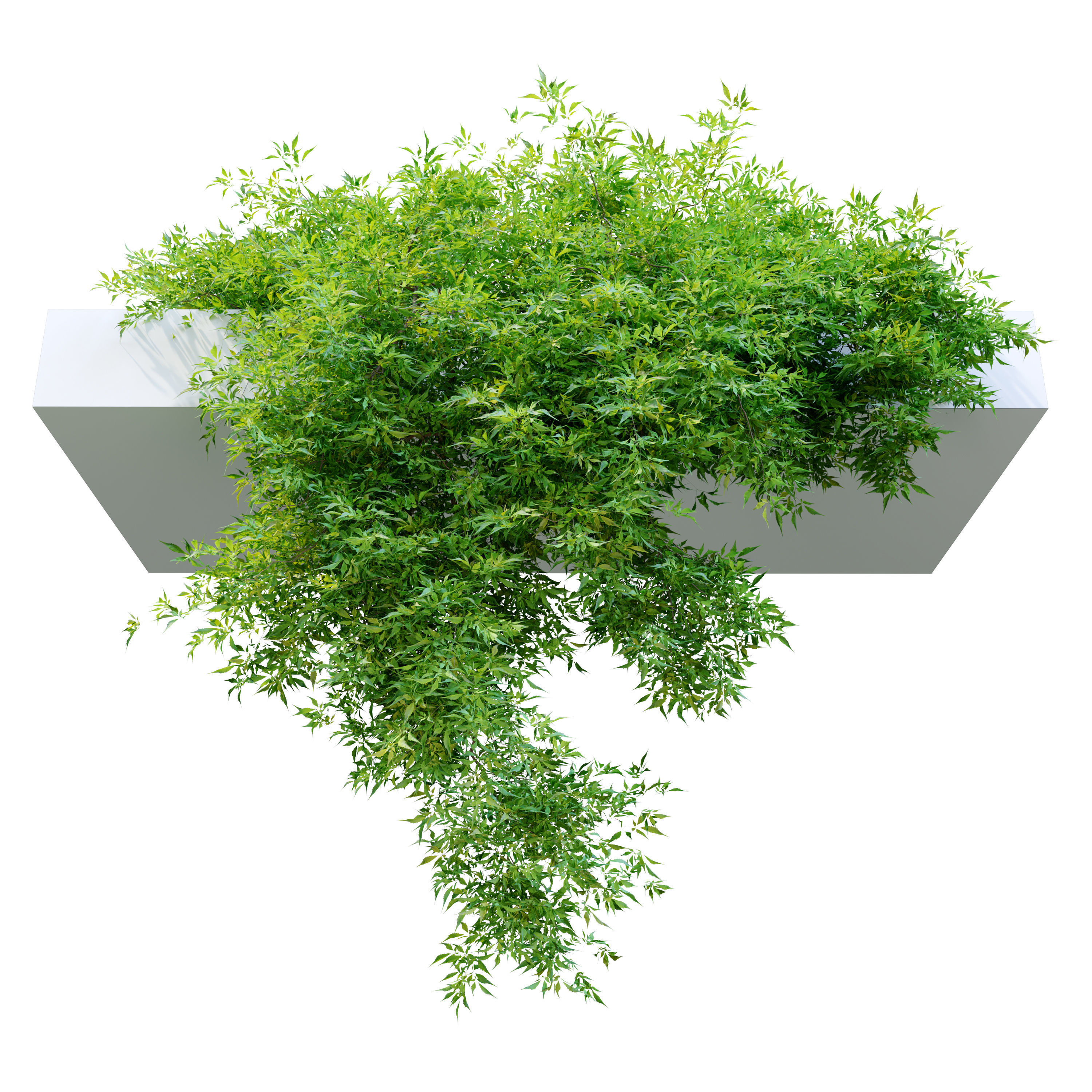 Hanging plant 10 3D model_3