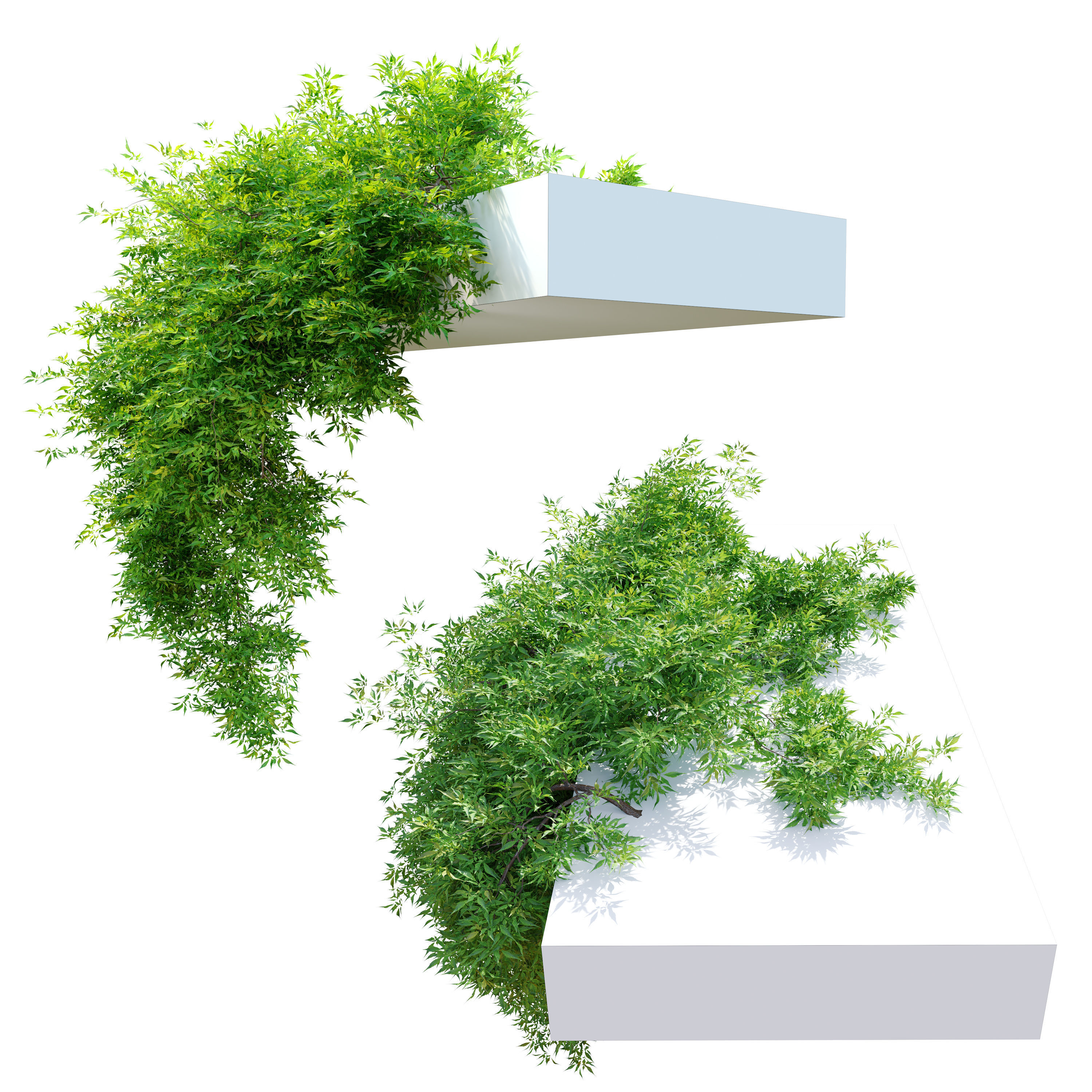Hanging plant 10 3D model_1