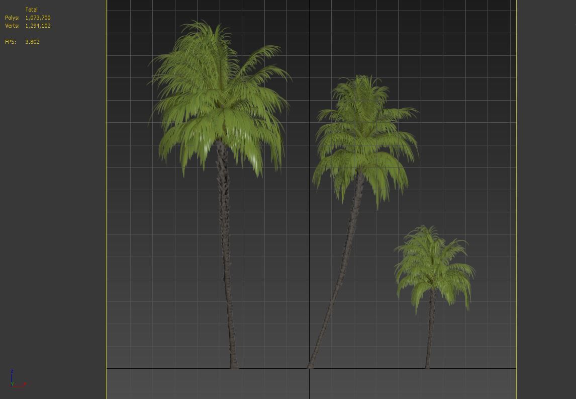 Phoenix reclinata palm 3D model_7