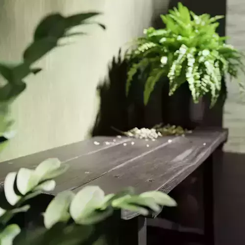 Old Imperfect Wood Bench