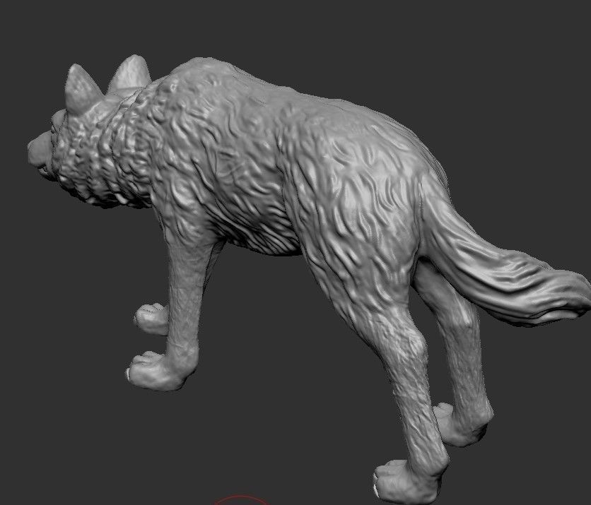 wolf model 3D model_1