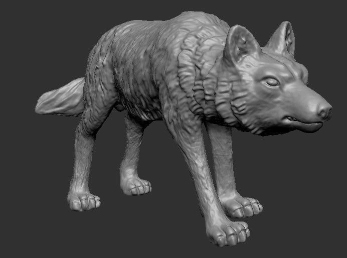 wolf model 3D model_2