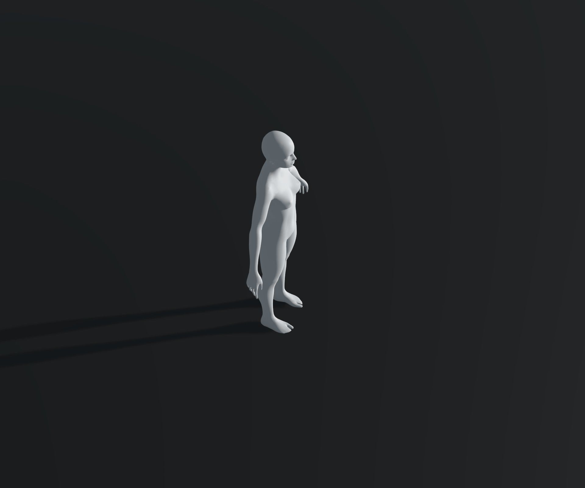 Male Female Body Base Mesh 28 Animations 3D Model 20k Polygons Low-poly 3D model_21