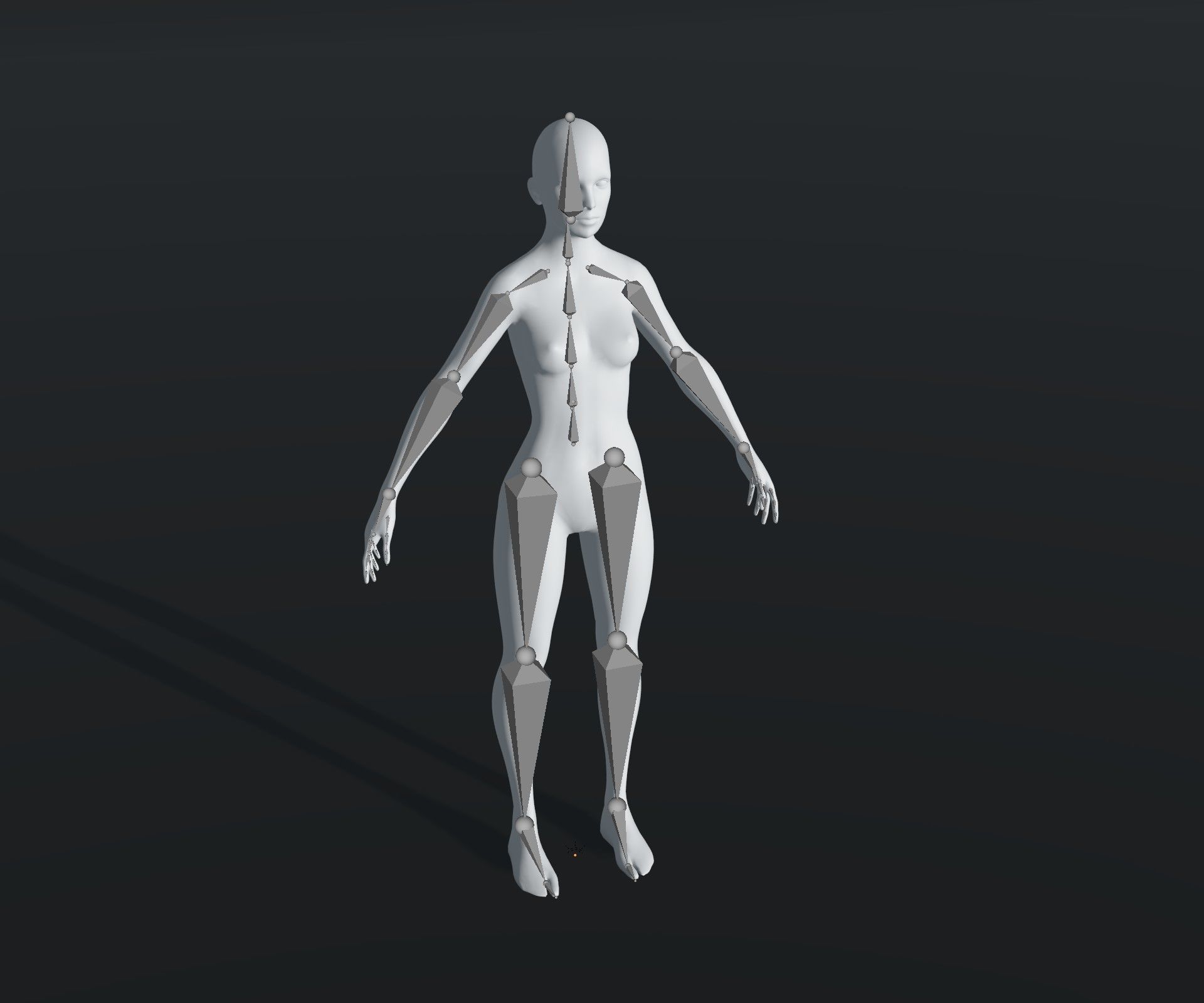 Male Female Body Base Mesh 28 Animations 3D Model 20k Polygons Low-poly 3D model_7