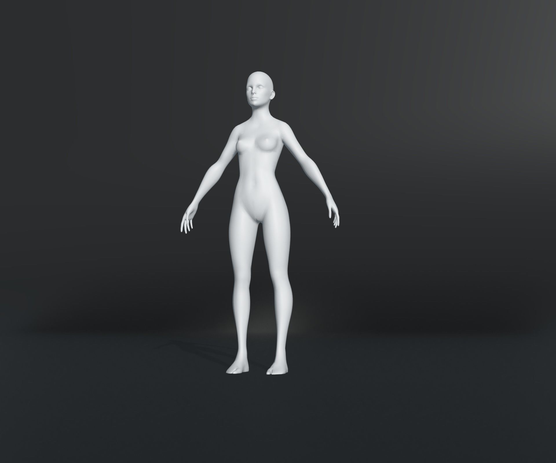 Male Female Body Base Mesh 28 Animations 3D Model 20k Polygons Low-poly 3D model_10
