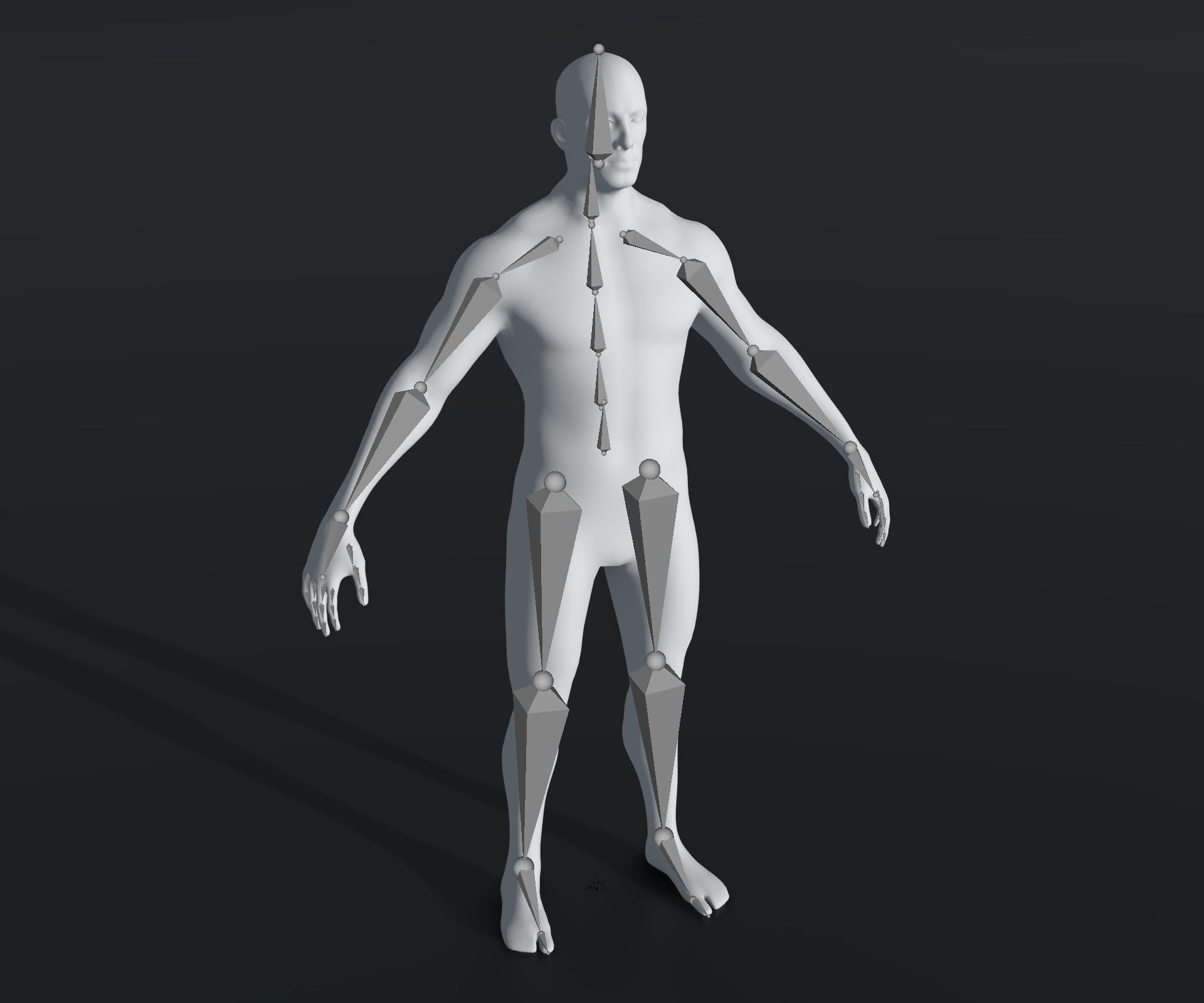 Male Female Body Base Mesh 28 Animations 3D Model 20k Polygons Low-poly 3D model_27