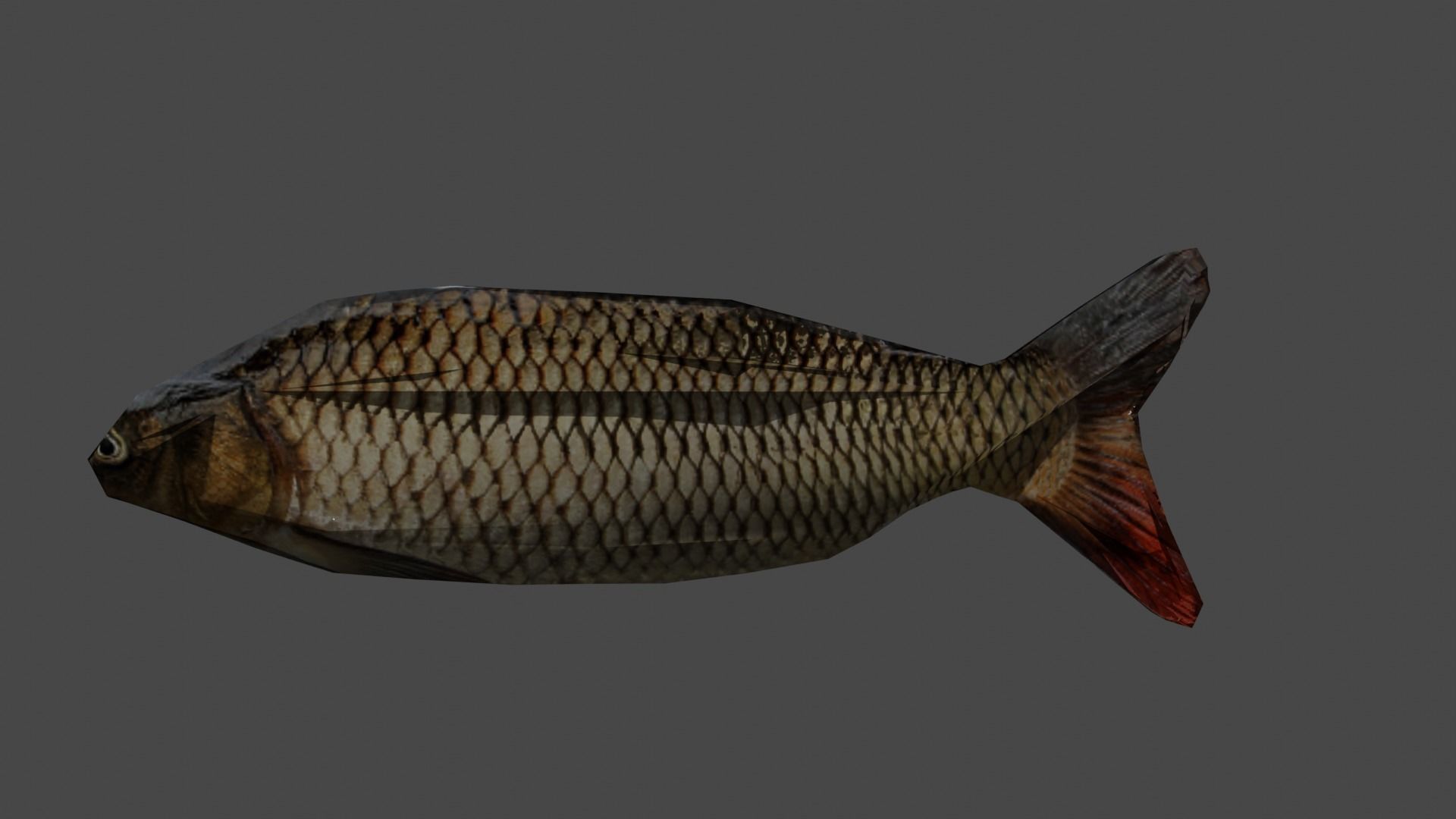Animated school of fish 3D model_3