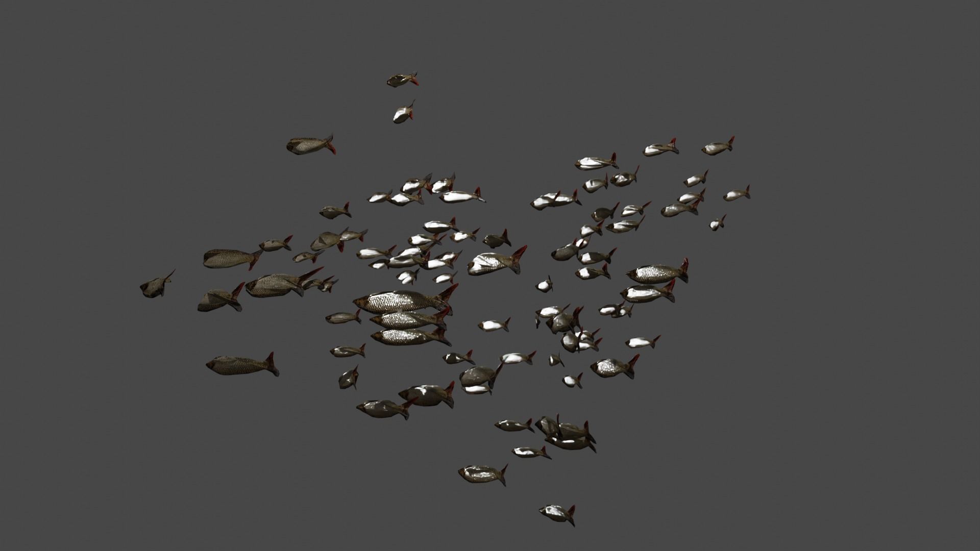 Animated school of fish 3D model_2