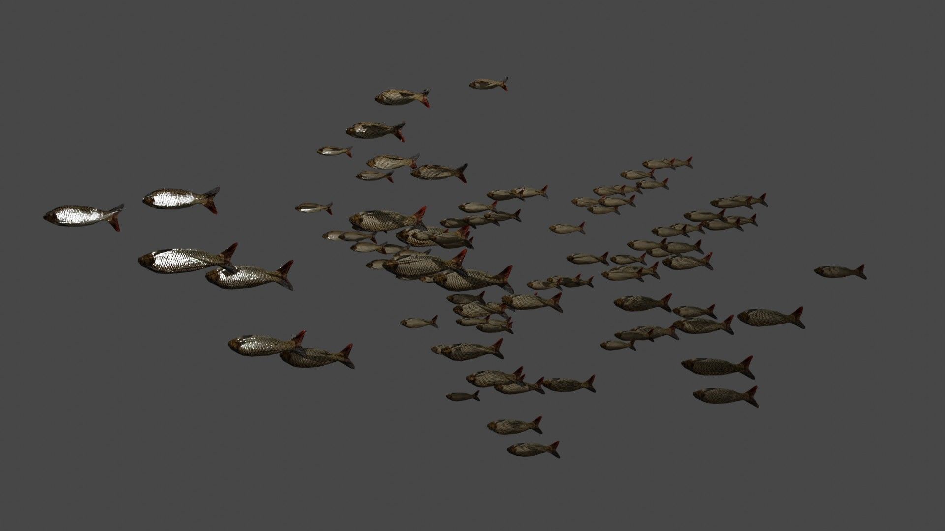 Animated school of fish 3D model_1