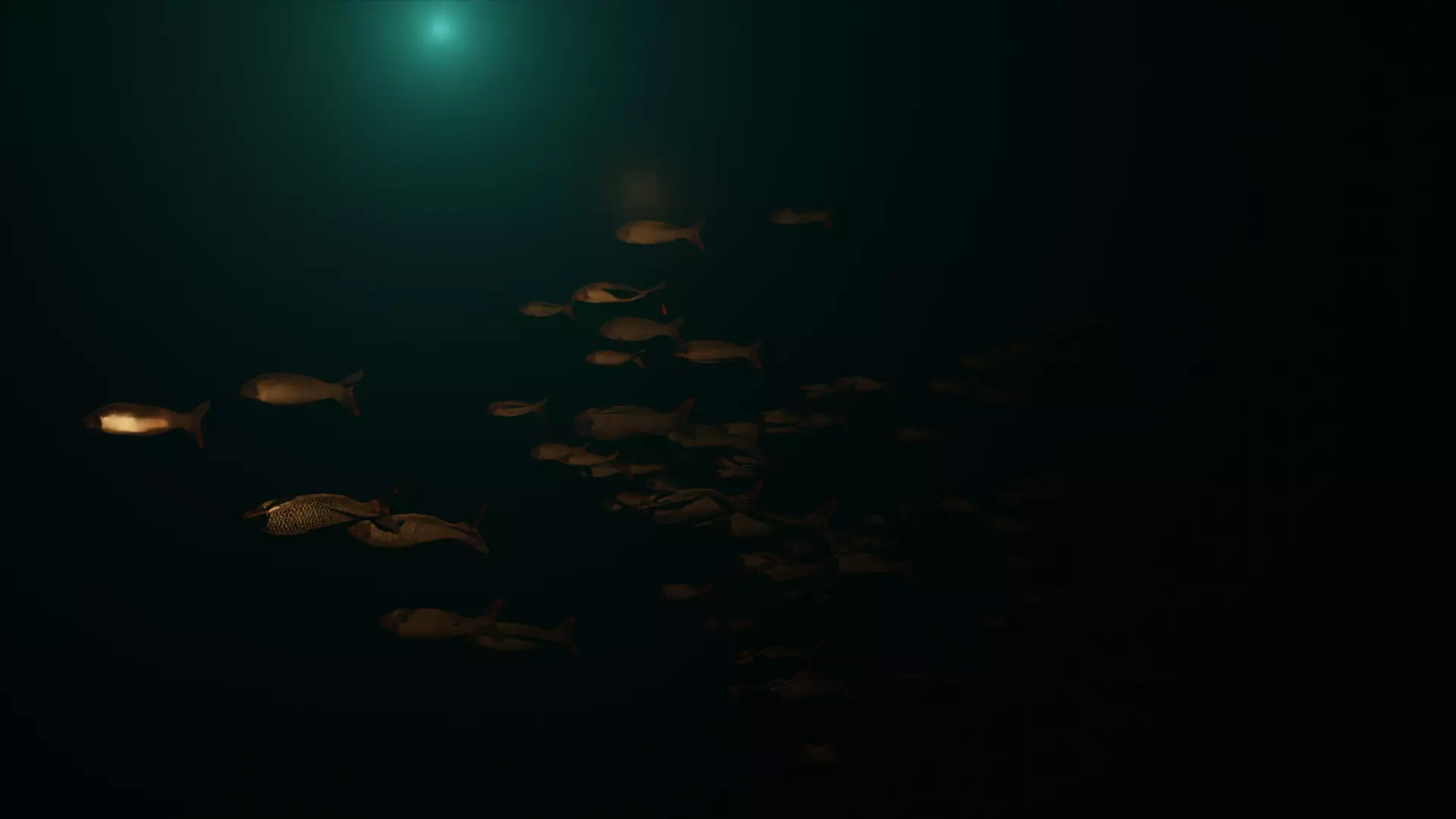 Animated school of fish 3D model_0