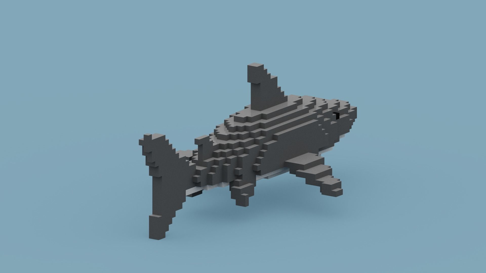 Voxel Shark Low-poly 3D model_9