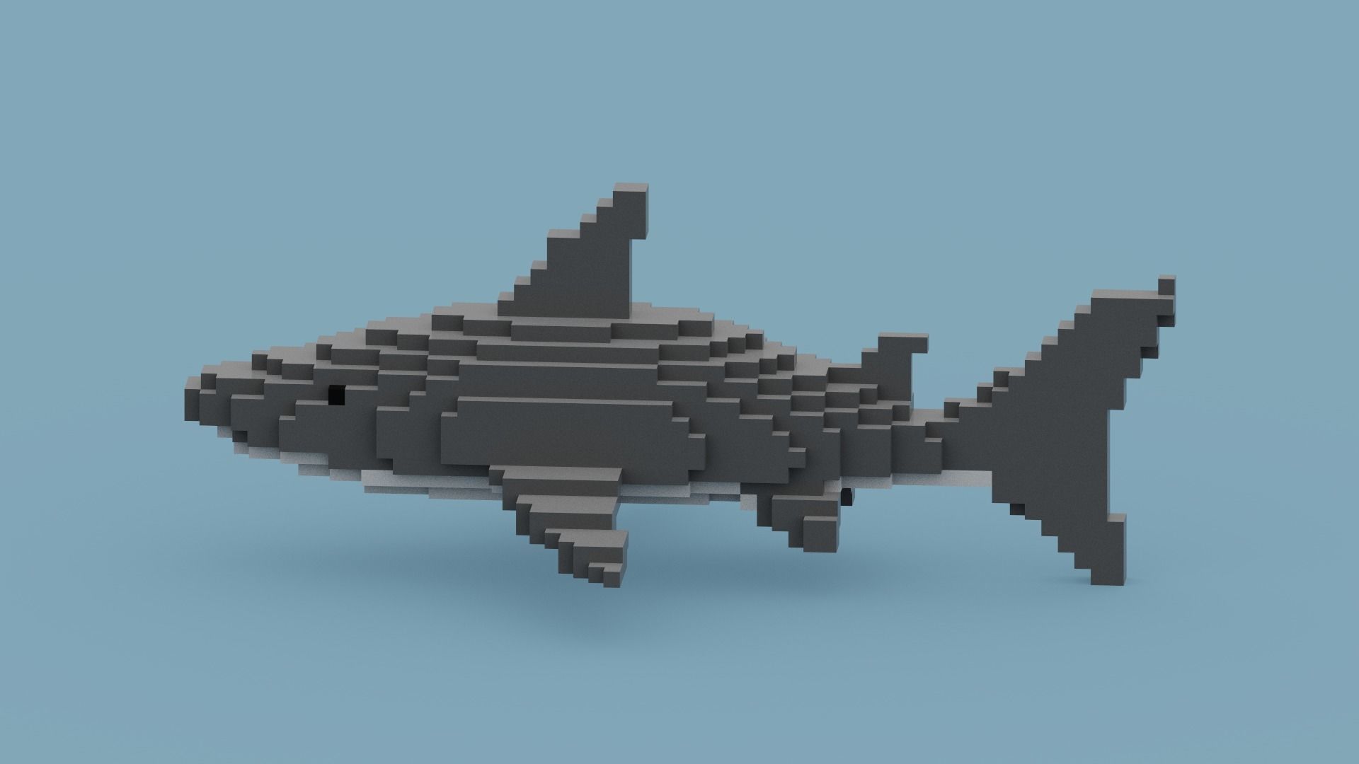 Voxel Shark Low-poly 3D model_5