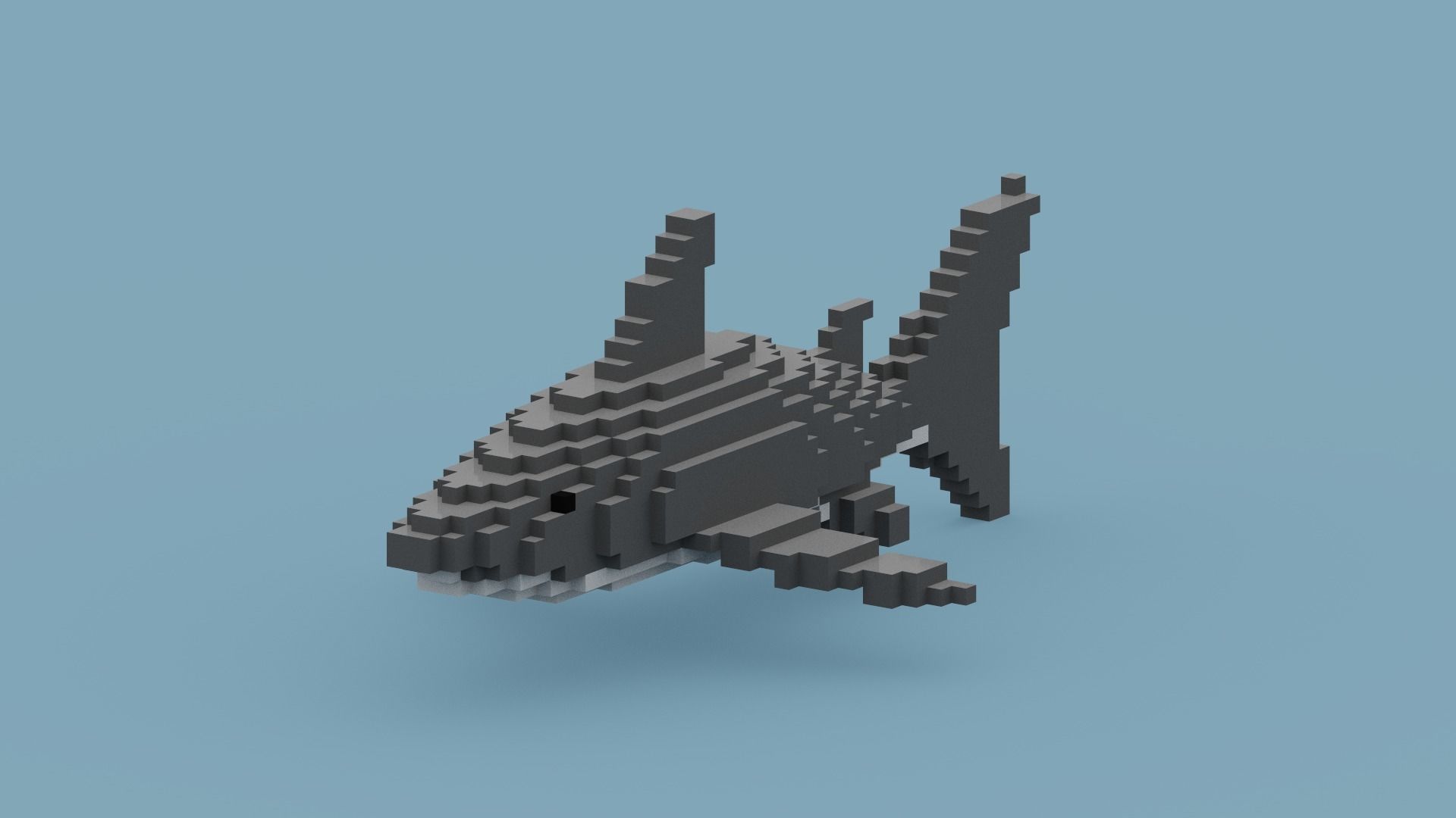 Voxel Shark Low-poly 3D model_3