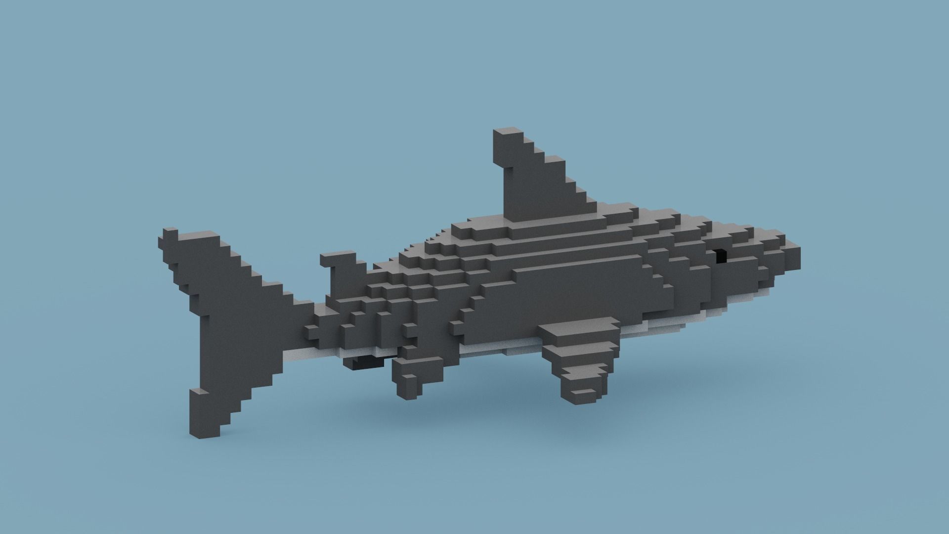 Voxel Shark Low-poly 3D model_10
