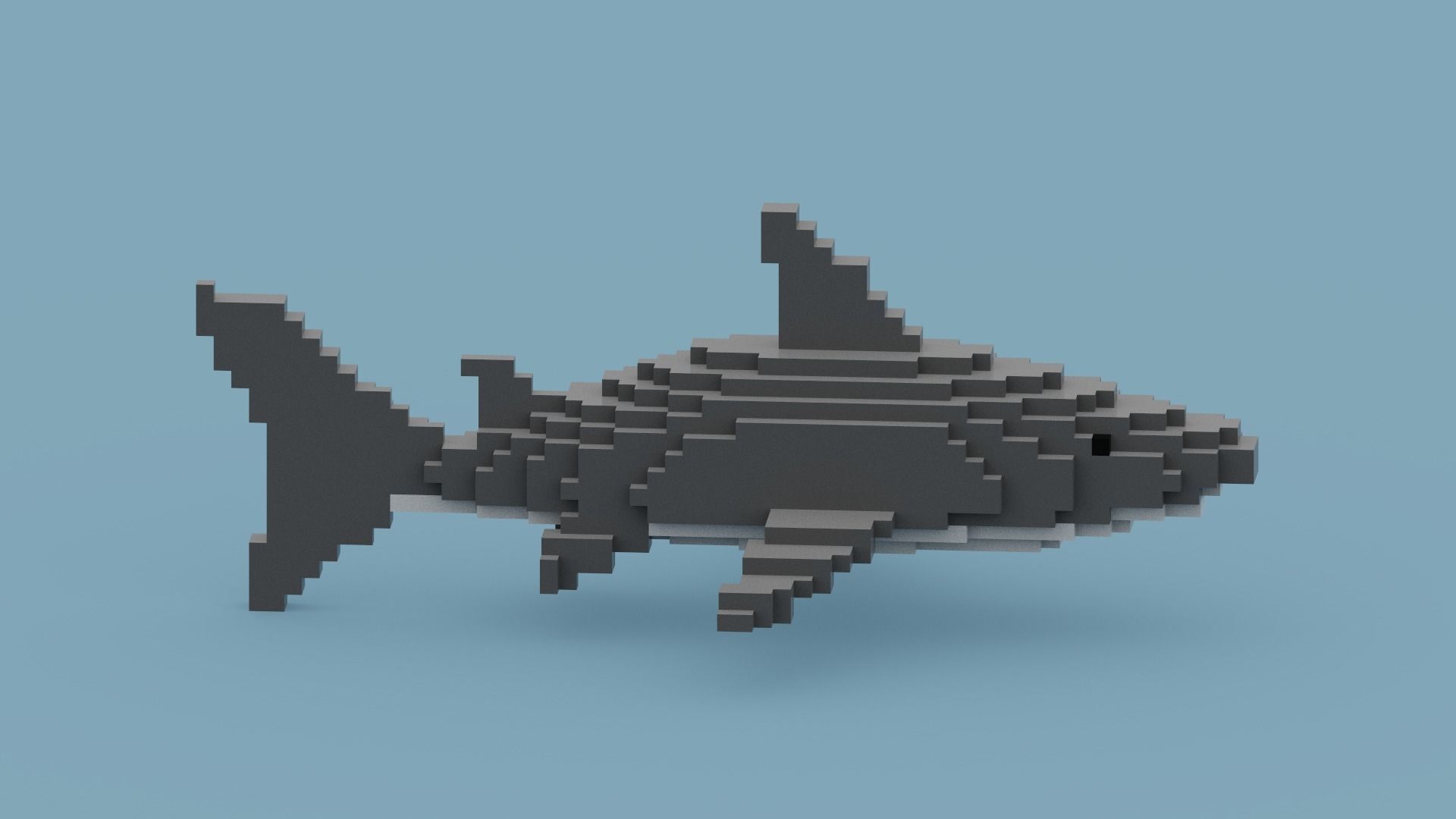 Voxel Shark Low-poly 3D model_11