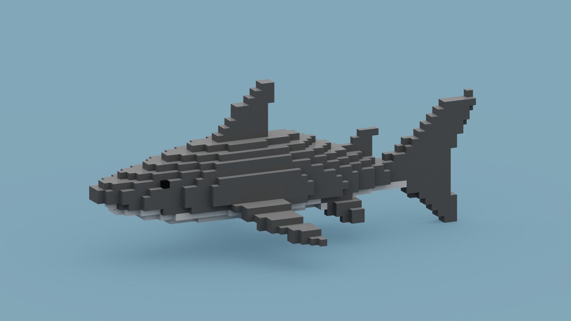Voxel Shark Low-poly 3D model_4