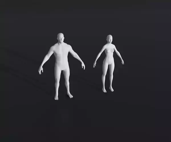 Male Female Body Base Mesh 28 Animations 3D Model 20k Polygons 3D Model Collection