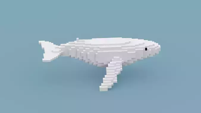 Voxel White Whale
