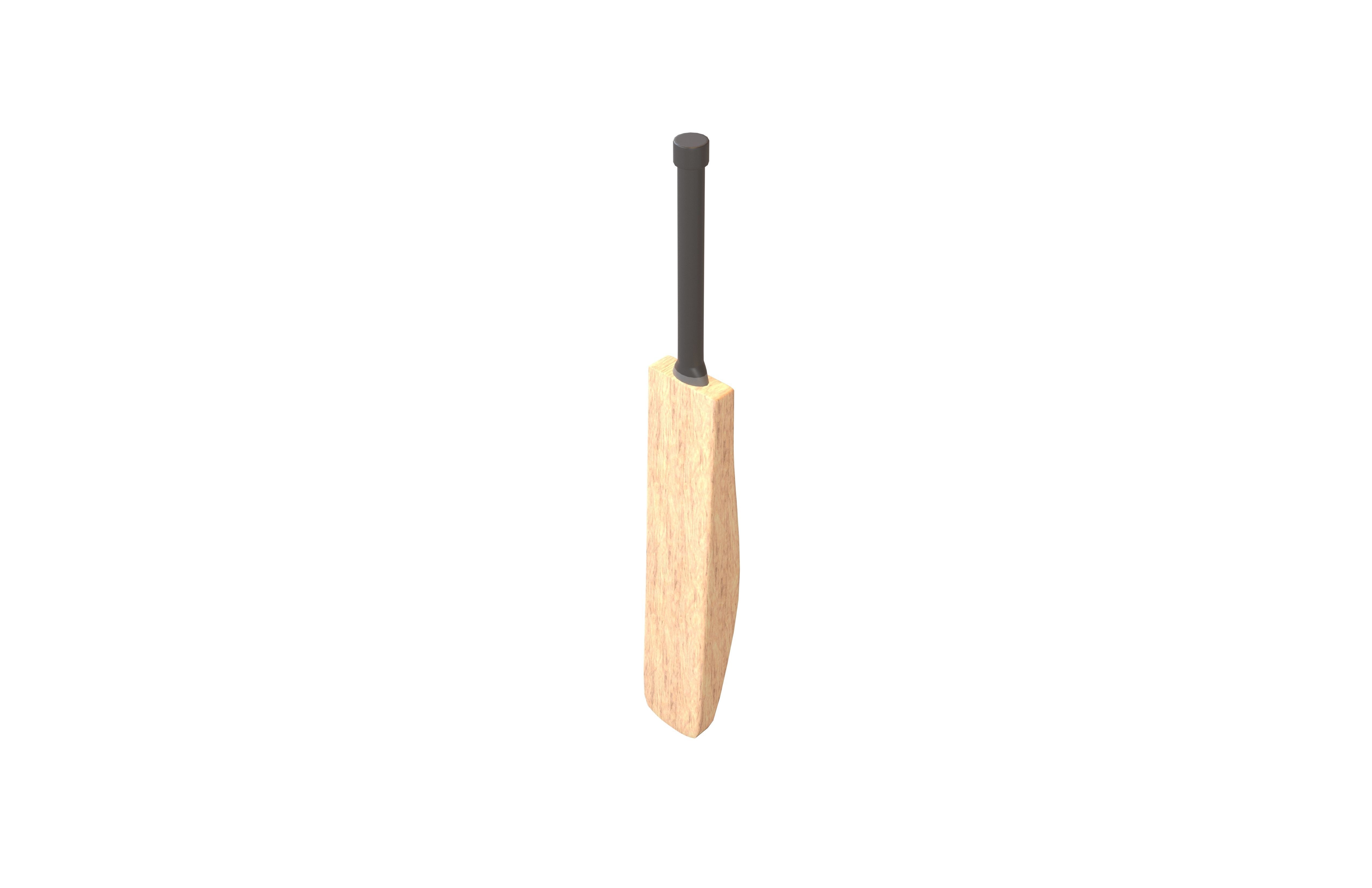 Cricket Bat v1 002 Low-poly 3D model_1