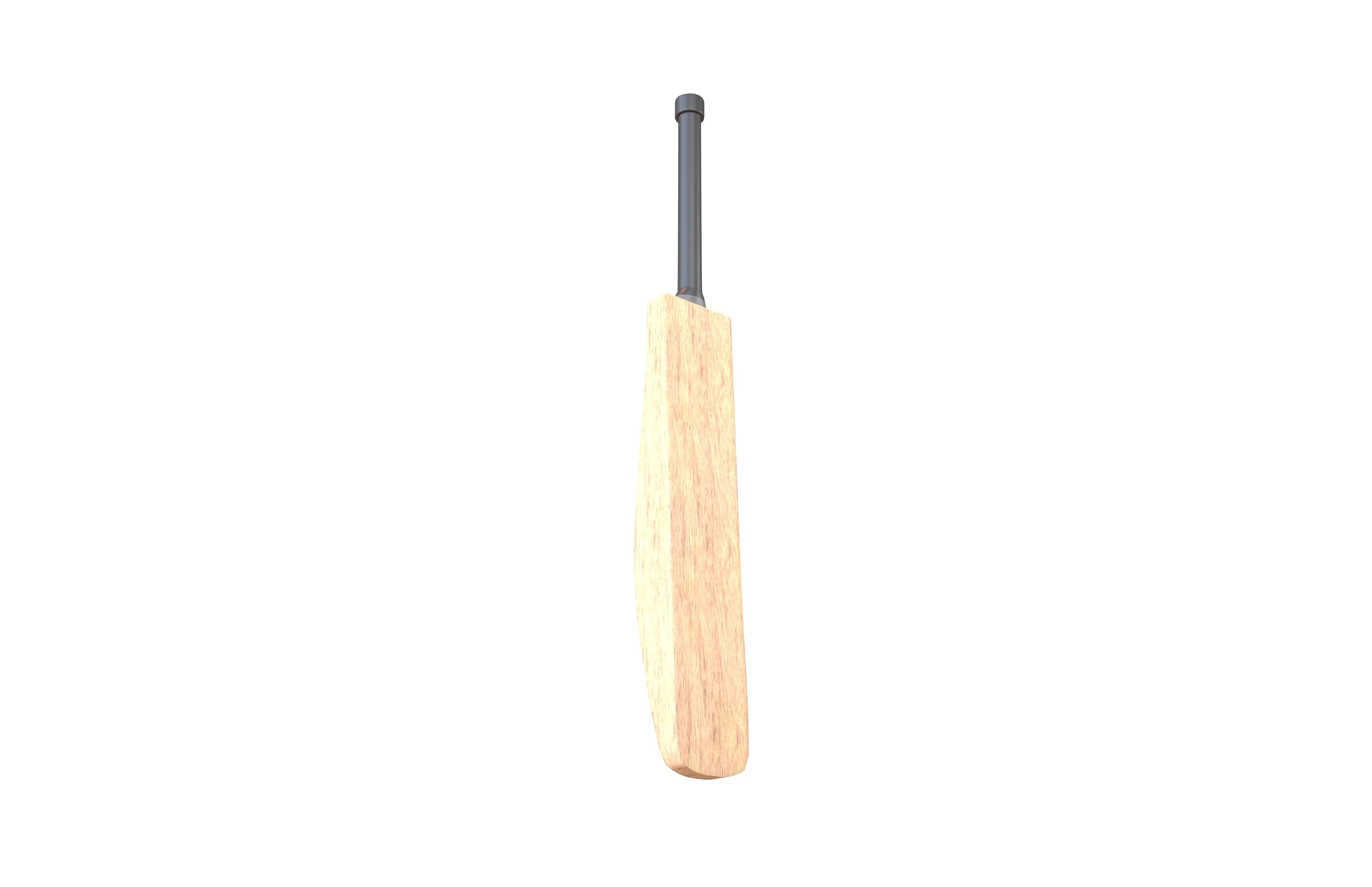 Cricket Bat v1 002 Low-poly 3D model_2