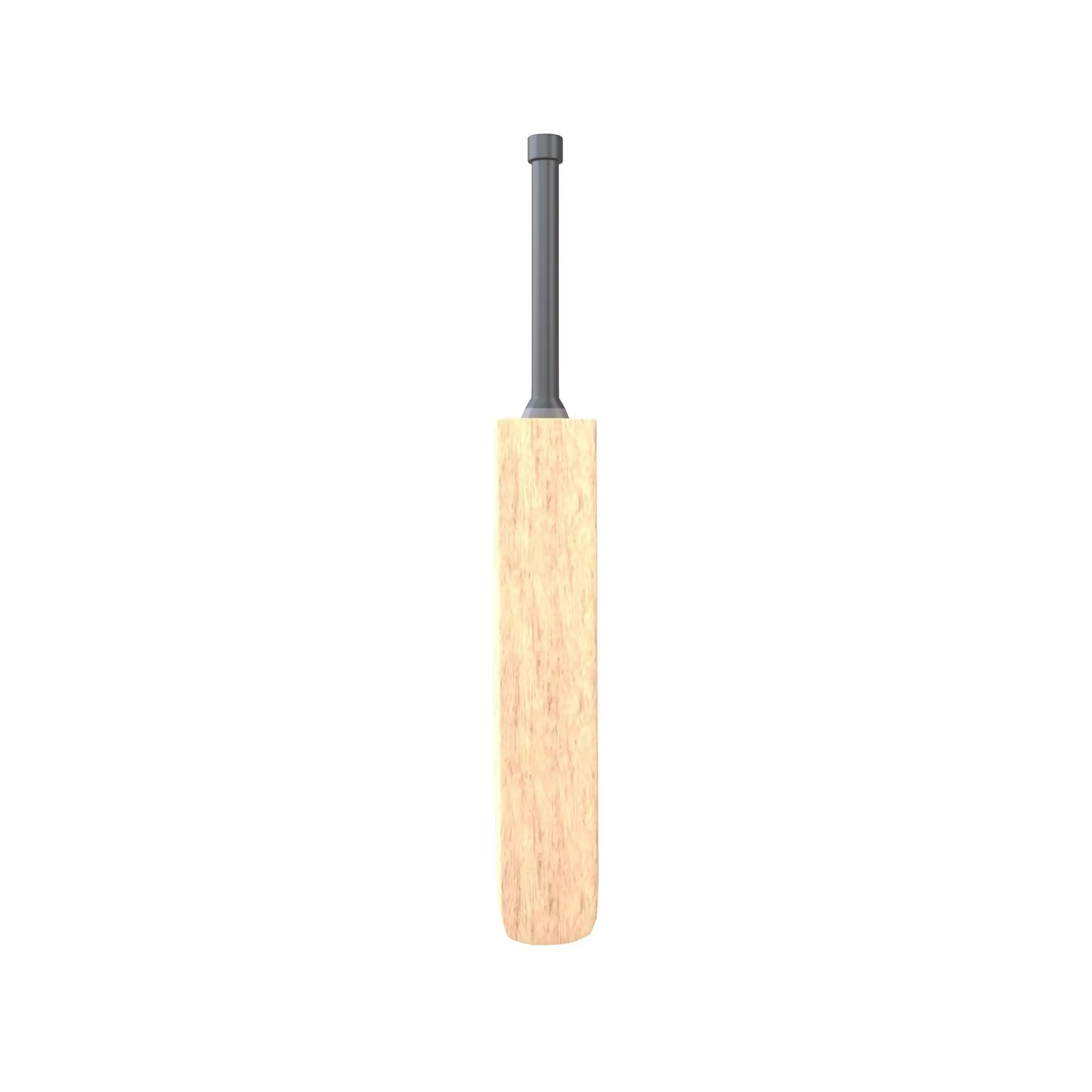 Cricket Bat v1 002 Low-poly 3D model_0