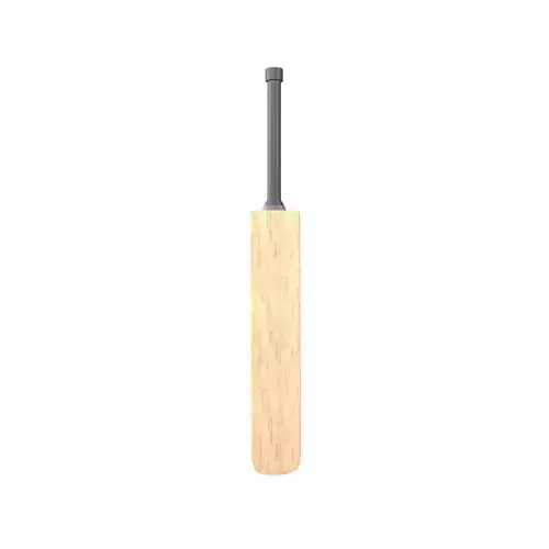 Cricket Bat v1 002