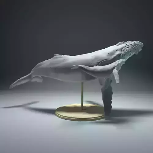 Humpback Whale and Calf  3D print model