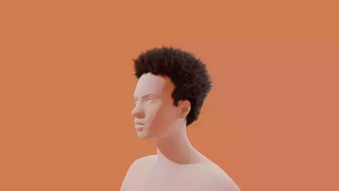 Miles Hair 3D model