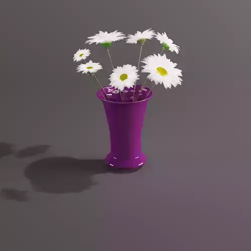 daisy daisies in vase