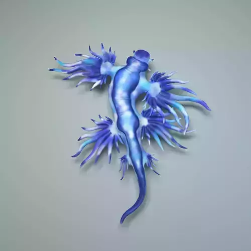 Glaucus Atlanticus or 3D Printing