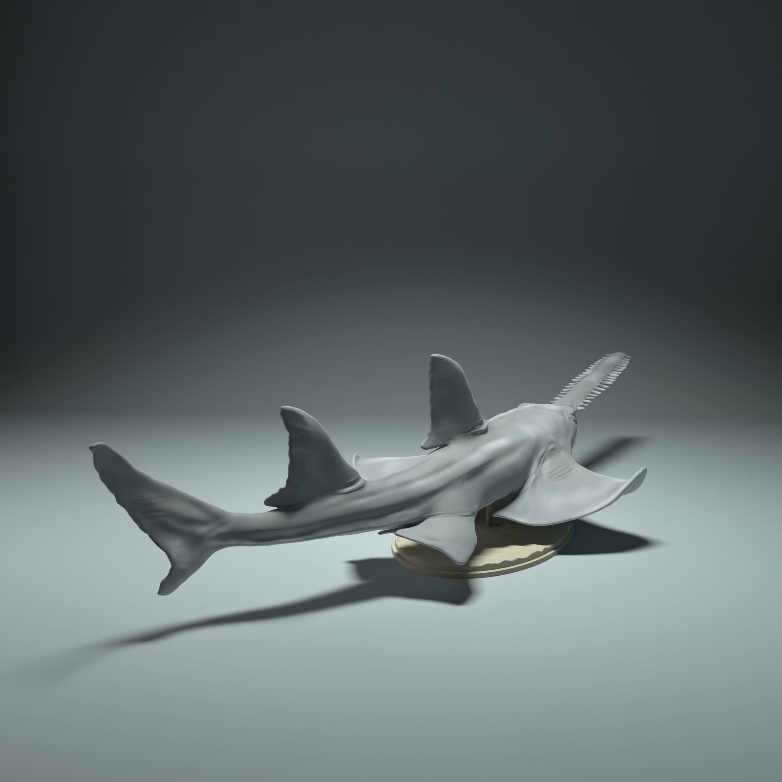 Largetooth Sawfish  3D print model_2