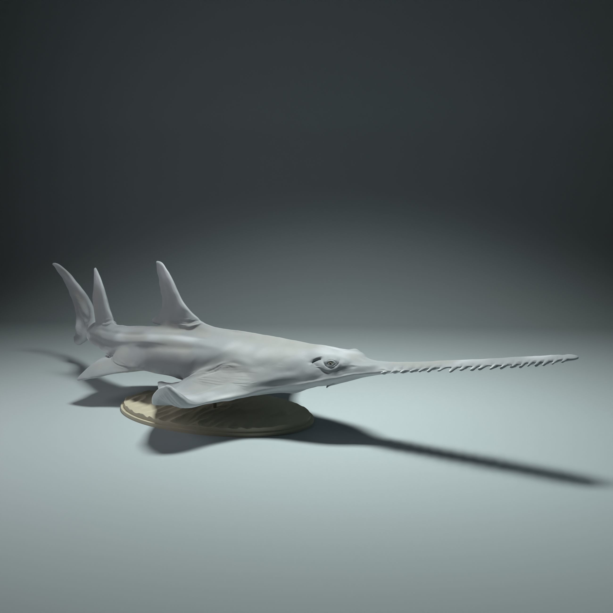 Largetooth Sawfish  3D print model_1