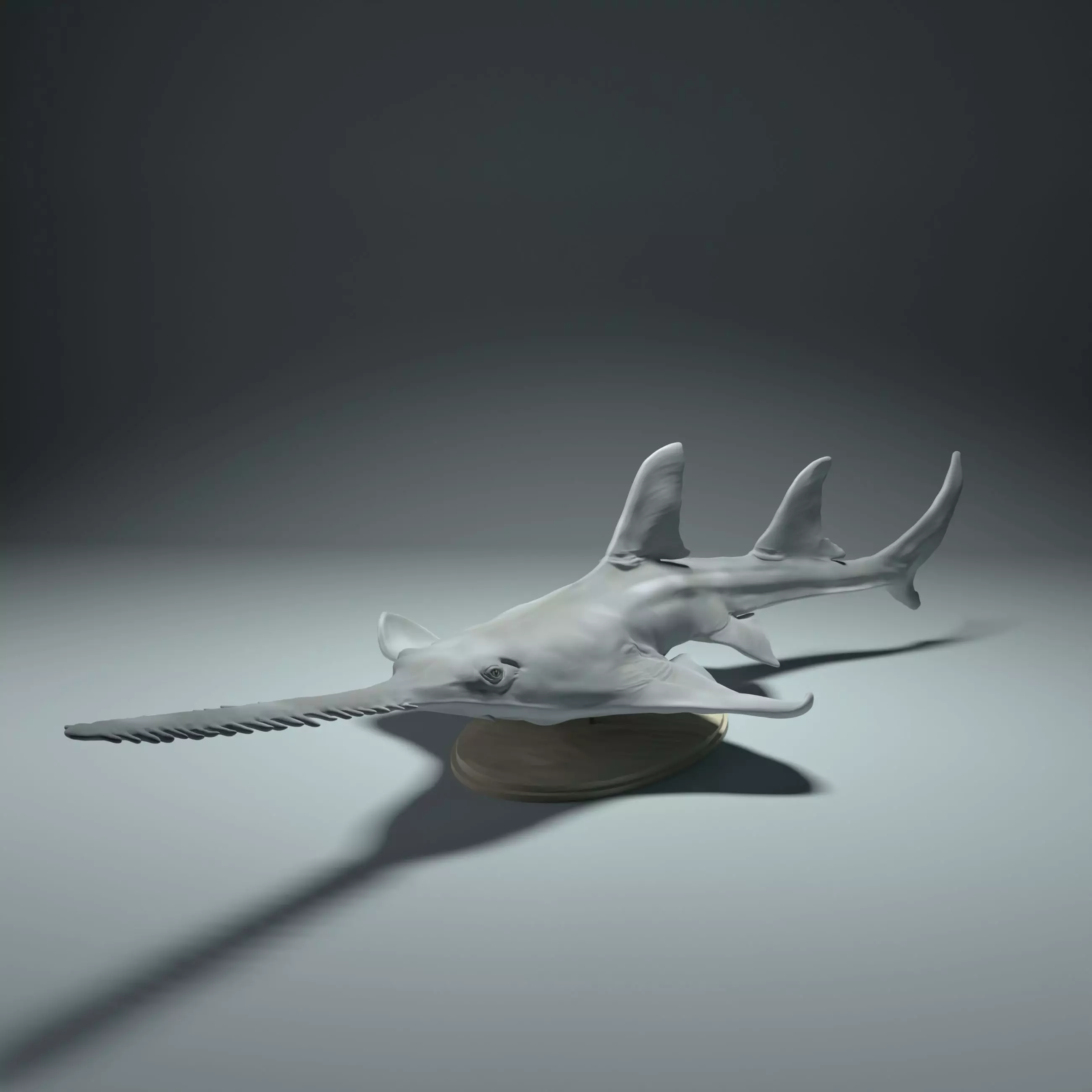 Largetooth Sawfish  3D print model_0