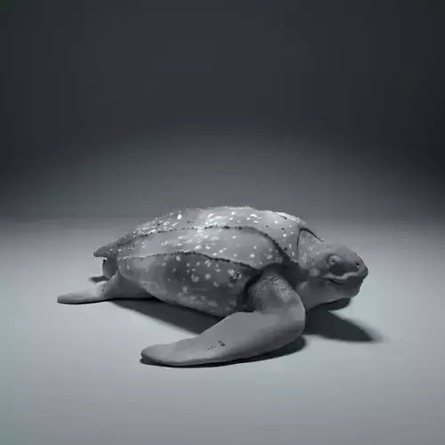 Leatherback Sea Turtle 3D print model