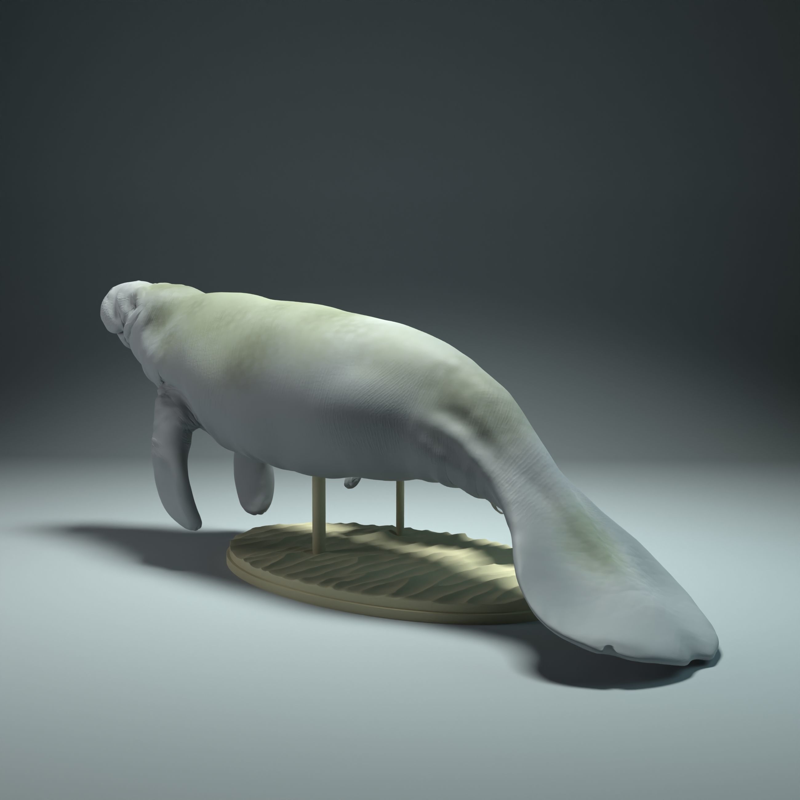 Manatee with Calf  3D print model_2