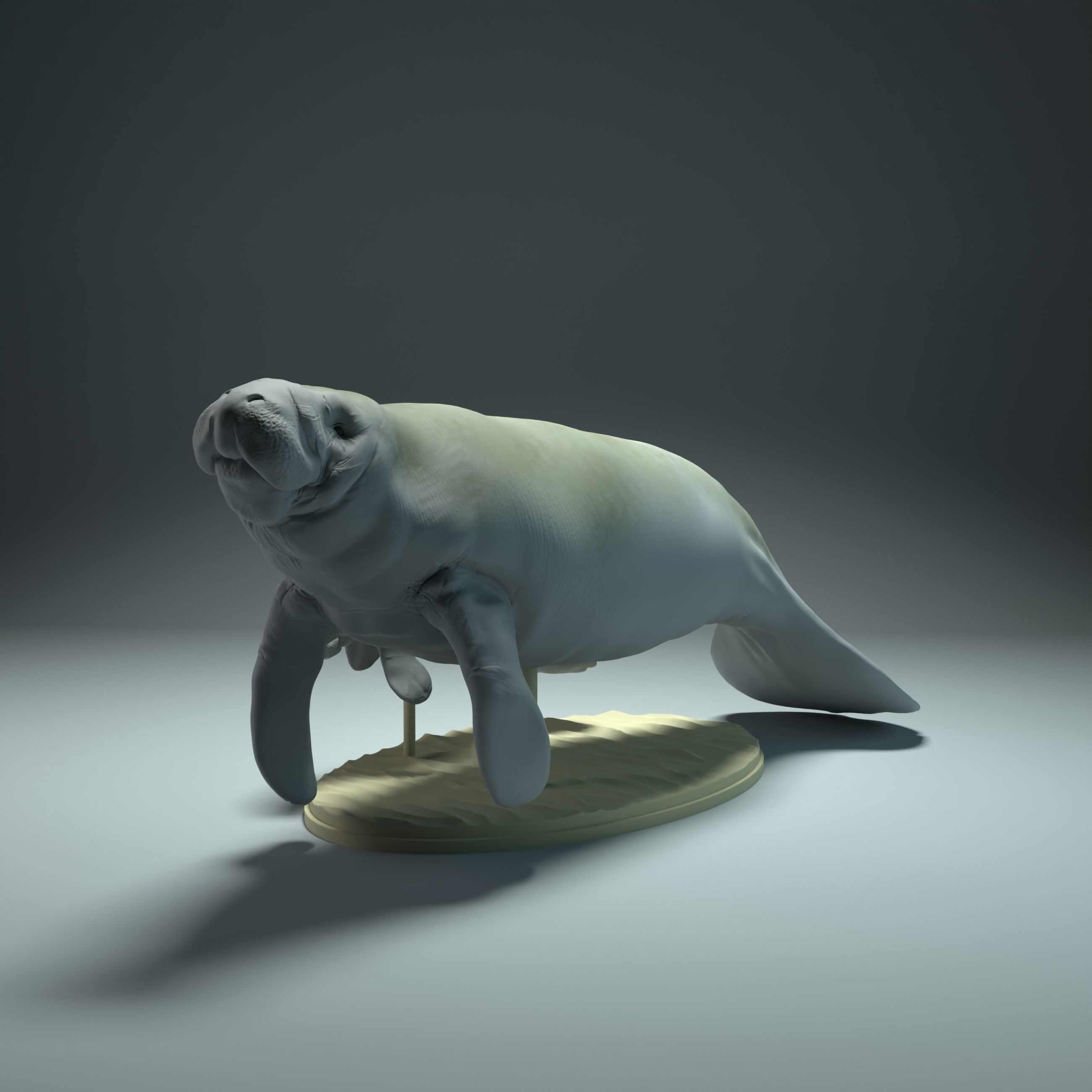 Manatee with Calf  3D print model_3