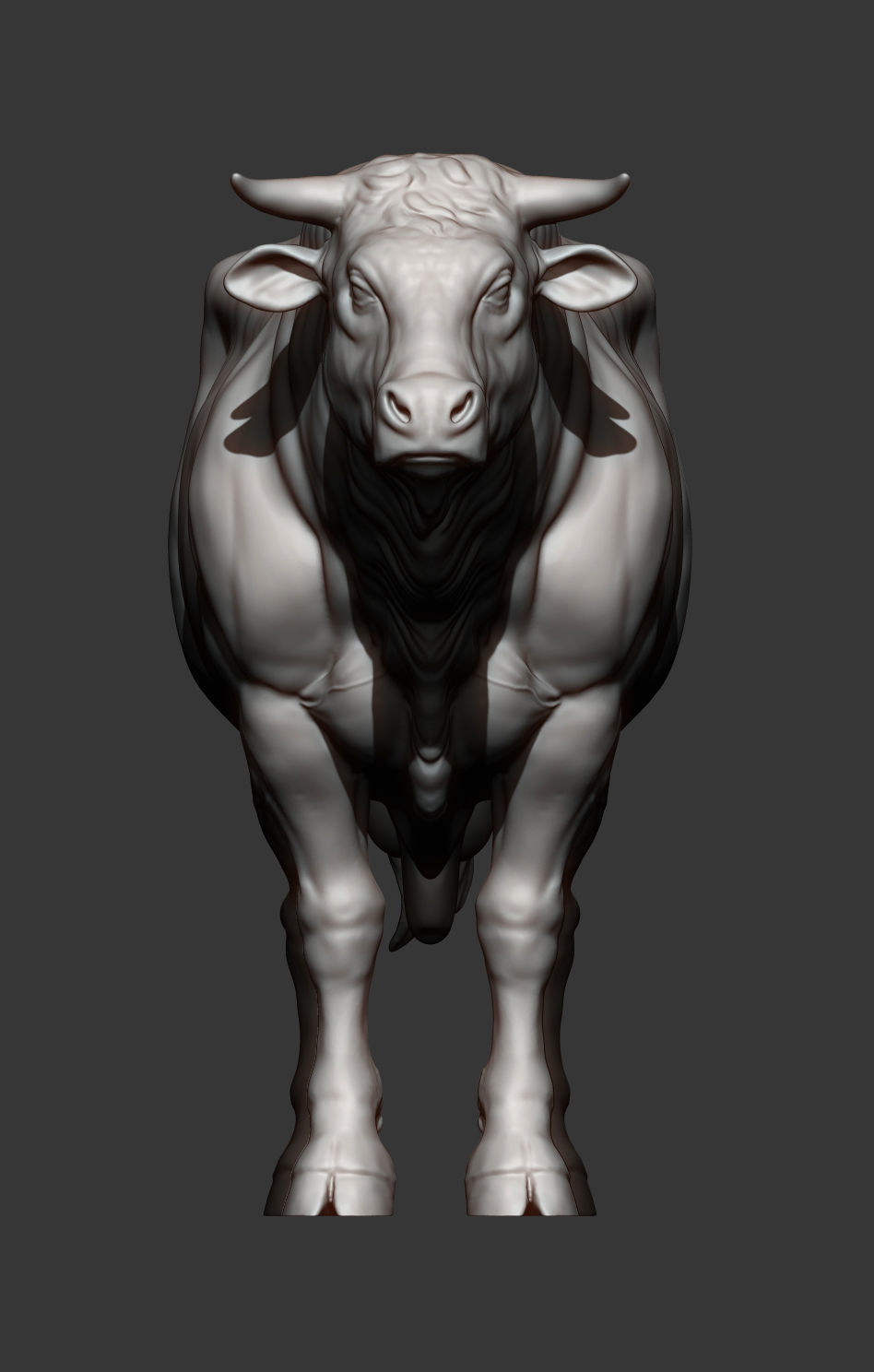 Limousin bull 3D print model_10