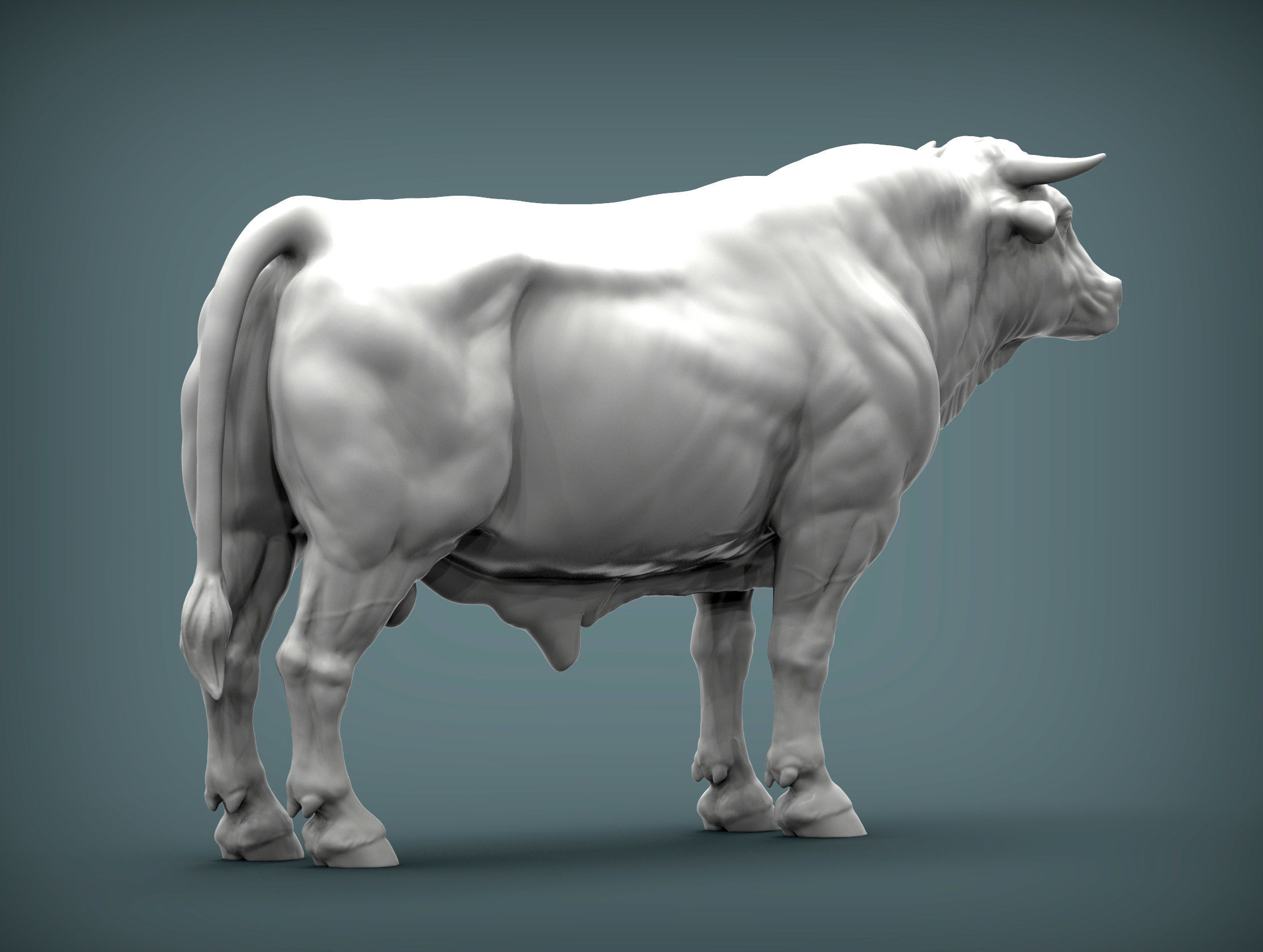 Limousin bull 3D print model_3