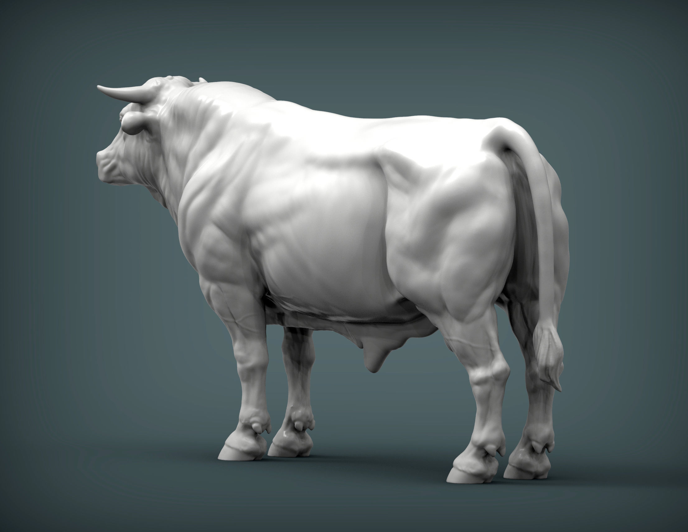 Limousin bull 3D print model_2